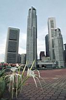 lilley in singapore .jpg